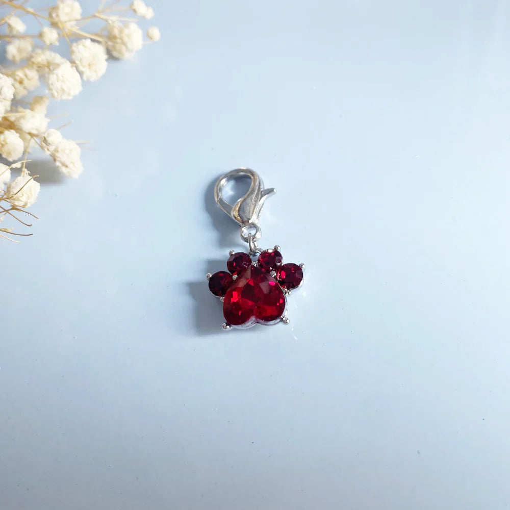 Paw Print Birthstone Keychains